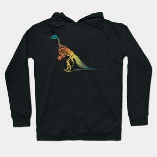 Rainbow dinosaur skeleton Hoodie